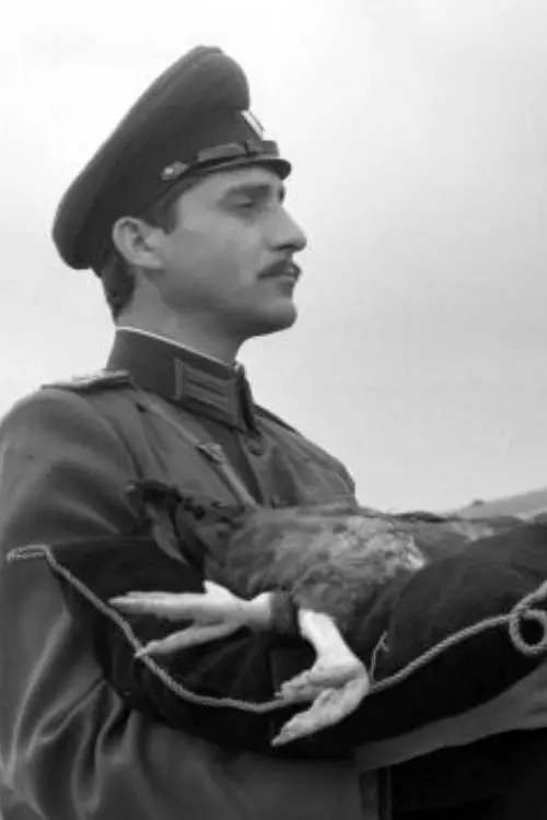 Постер до фільму "Случаят Пенлеве"