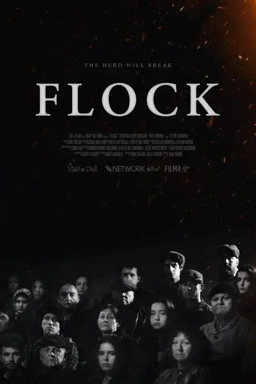 Постер до фільму "Flock"