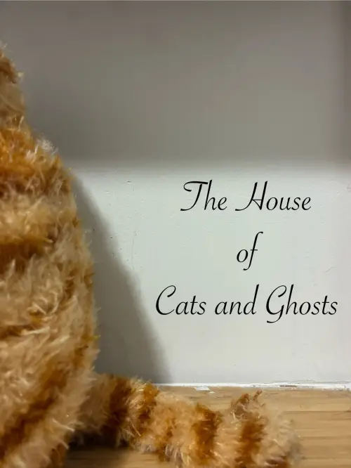 Постер до фільму "The House of Cats and Ghosts"