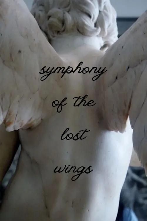 Постер до фільму "Symphony Of The Lost Wings"