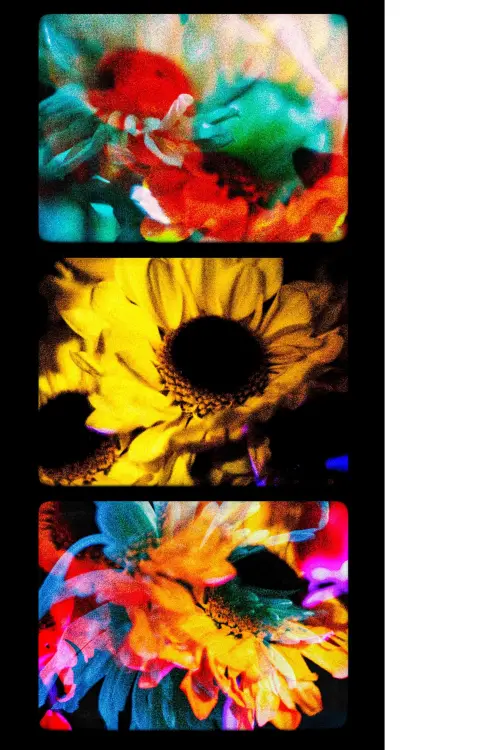 Постер до фільму "Flowers (II)"