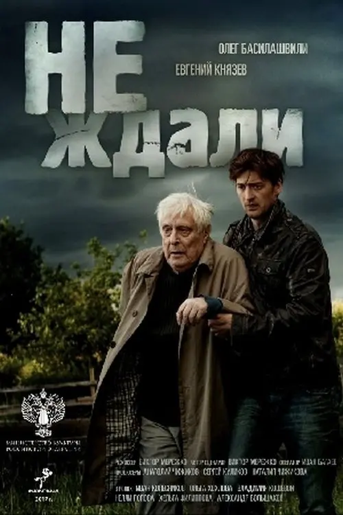 Постер до фільму "Не ждали"