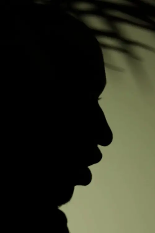 Постер до фільму "Son of Shadow"