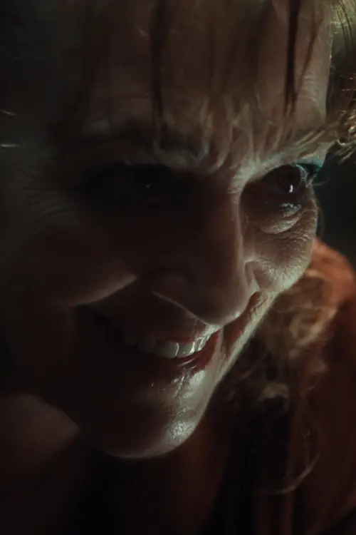 Постер до фільму "Crazy Old Lady"