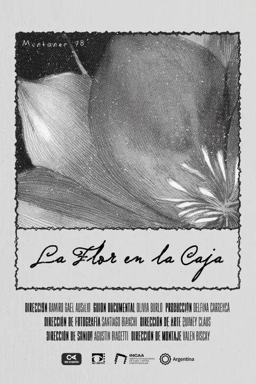 Постер до фільму "The Flower in the Box"