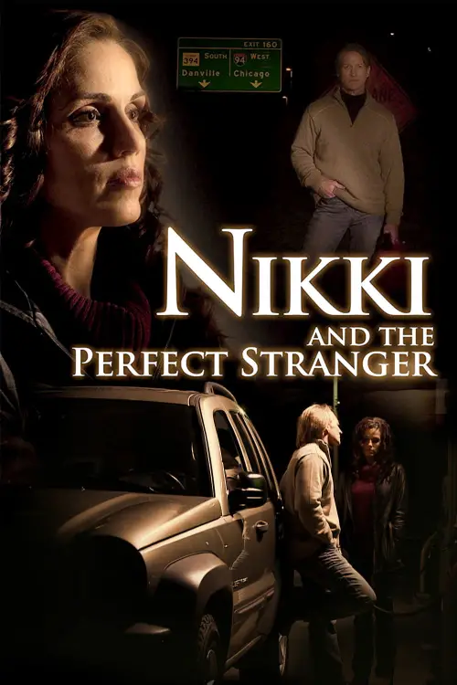 Постер до фільму "Nikki and the Perfect Stranger"