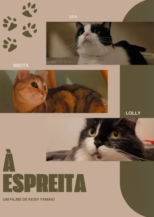 Постер до фільму "À Espreita"