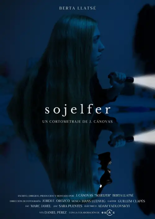Постер до фільму "Sojelfer"