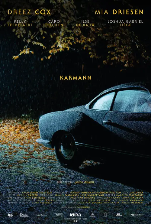 Постер до фільму "KARMANN"