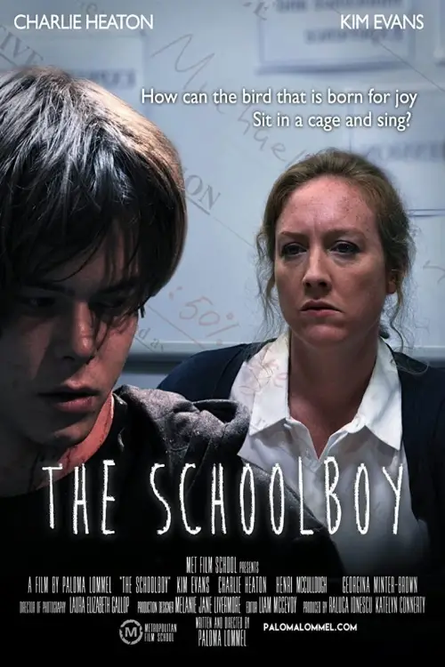 Постер до фільму "The Schoolboy"