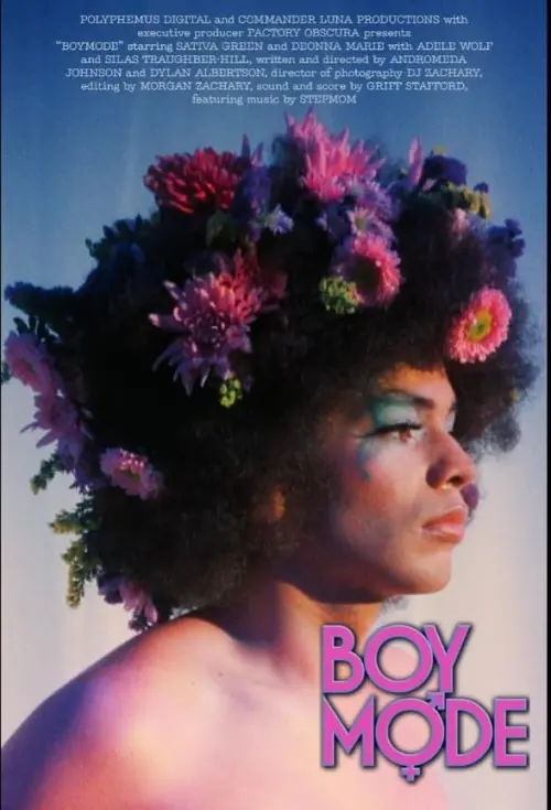 Постер до фільму "Boy Mode"