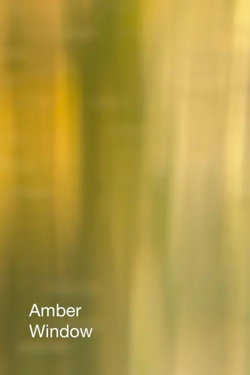 Постер до фільму "Amber Window"