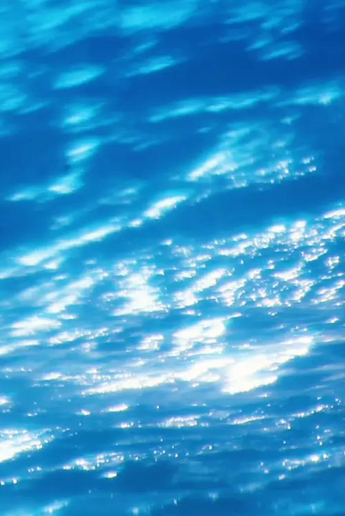 Постер до фільму "Shapeless Variations"