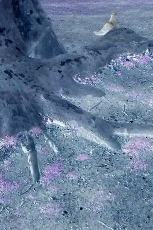 Постер до фільму "Roots of Manhattan"