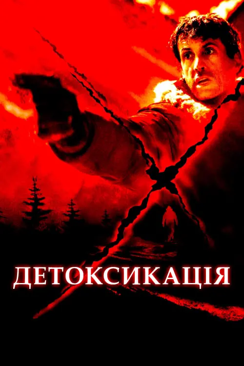 Постер до фільму "Детоксикація"