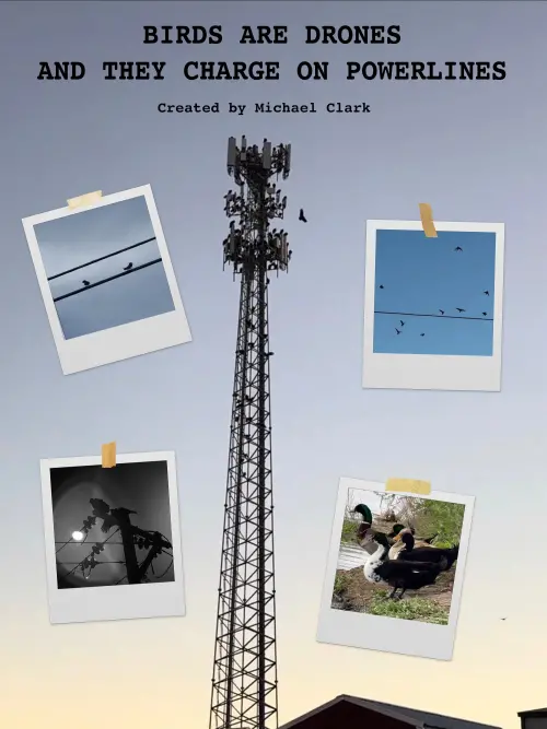 Постер до фільму "BIRDS ARE DRONES AND THEY CHARGE ON POWERLINES"
