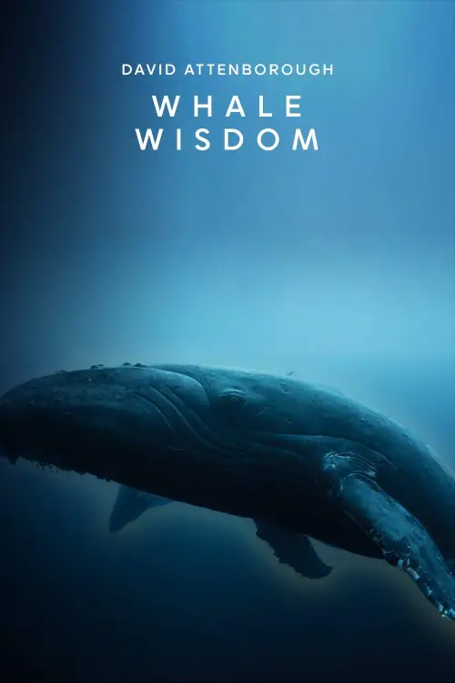 Постер до фільму "Whale Wisdom"