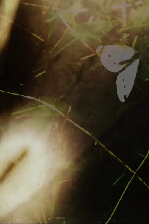 Постер до фільму "Garden Film"