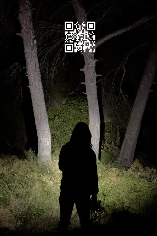 Постер до фільму "Q.R."