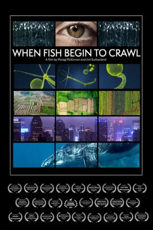 Постер до фільму "When Fish Begin to Crawl"