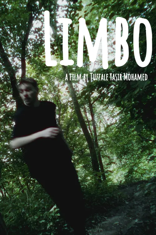 Постер до фільму "Limbo"