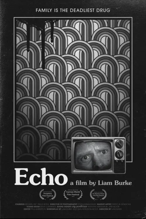 Постер до фільму "Echo"