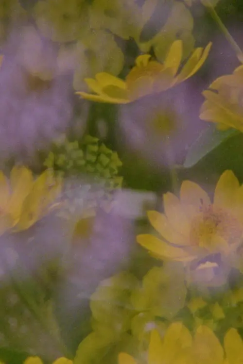 Постер до фільму "Now and in the time of our death"