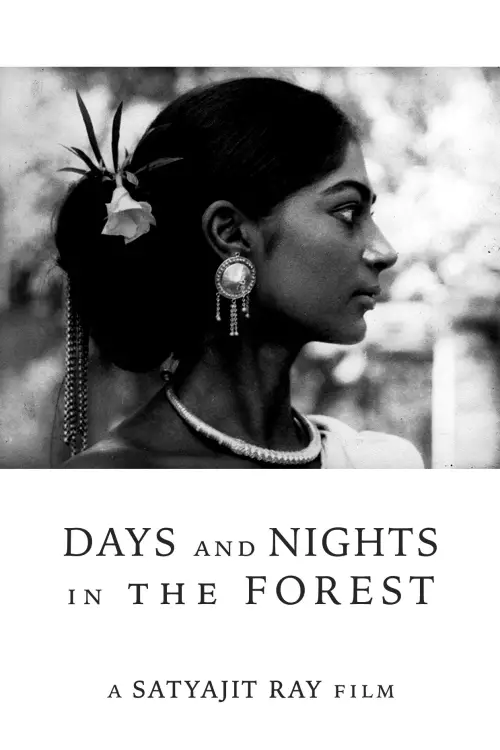 Постер до фільму "Days and Nights in the Forest"