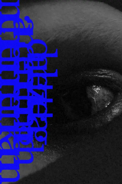 Постер до фільму "the last day i can no longer remember."