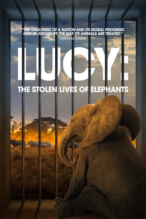 Постер до фільму "Lucy: The Stolen Lives of Elephants"