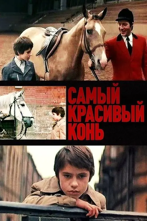 Постер до фільму "Самый красивый конь"
