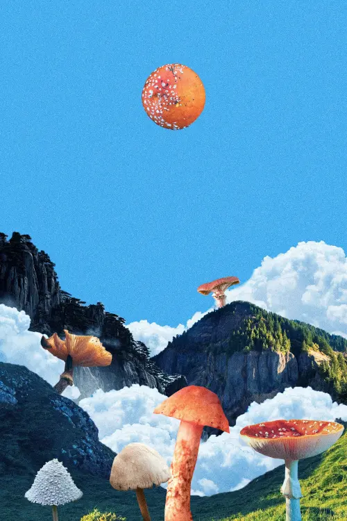 Постер до фільму "Empire fongique"