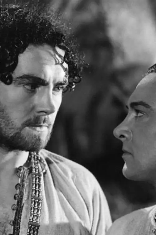 Постер до фільму "McGlusky the Sea Rover"