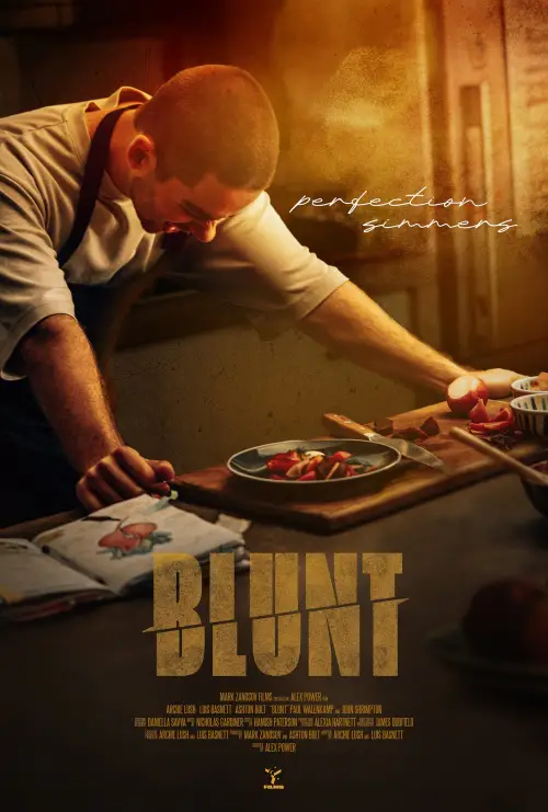 Постер до фільму "BLUNT"