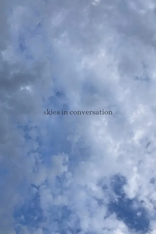 Постер до фільму "skies in conversation"