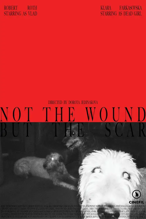 Постер до фільму "Not the Wound but the Scar"