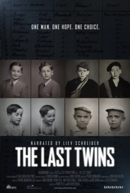 Постер до фільму "The Last Twins"