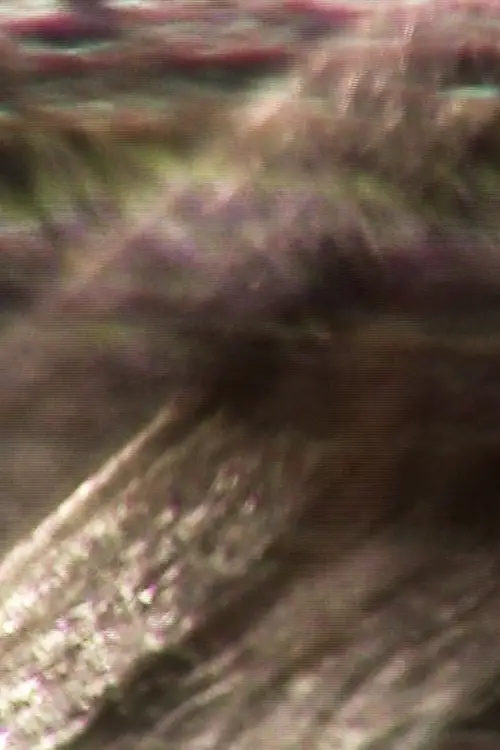 Постер до фільму "in thin air"