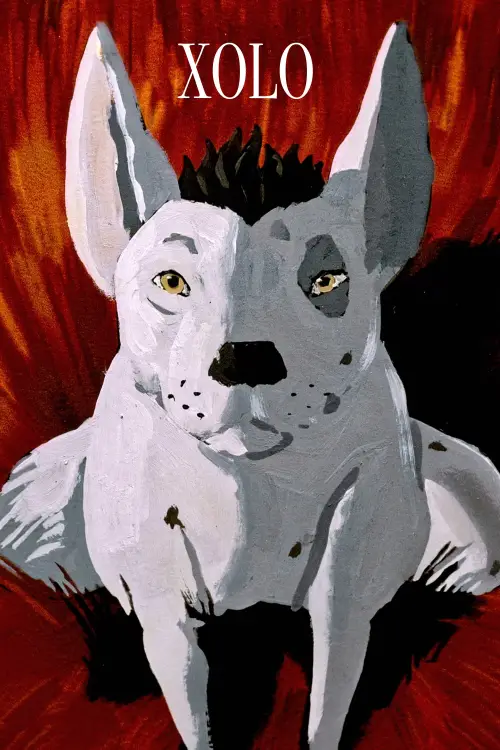 Постер до фільму "XOLO"
