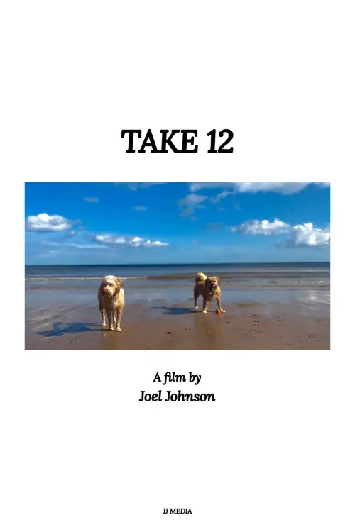 Постер до фільму "Take 12"