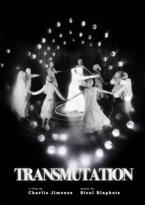 Постер до фільму "Transmutation"