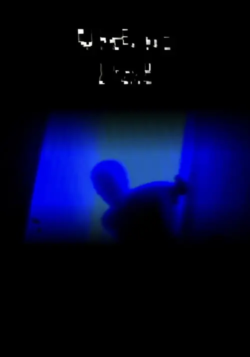 Постер до фільму "VIDEO PAL"