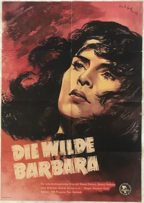 Постер до фільму "Divá Bára"