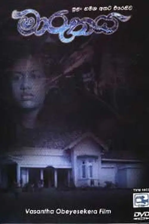 Постер до фільму "The Storm"