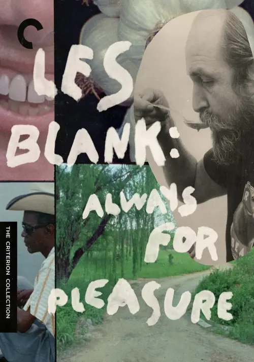 Постер до фільму "Always for Pleasure"