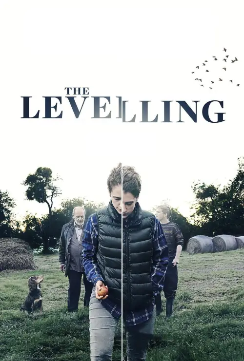 Постер до фільму "The Levelling"