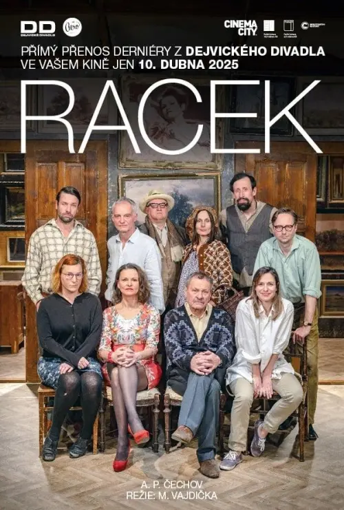 Постер до фільму "Racek"
