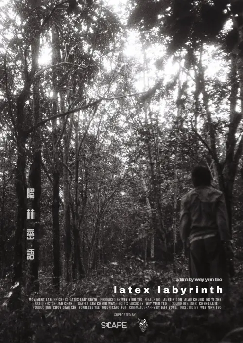 Постер до фільму "Latex Labyrinth"