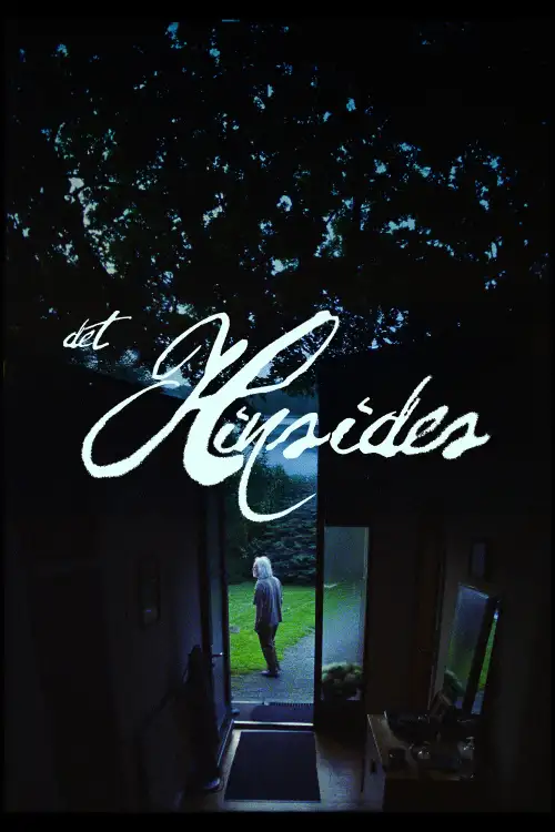Постер до фільму "Det Hinsides"