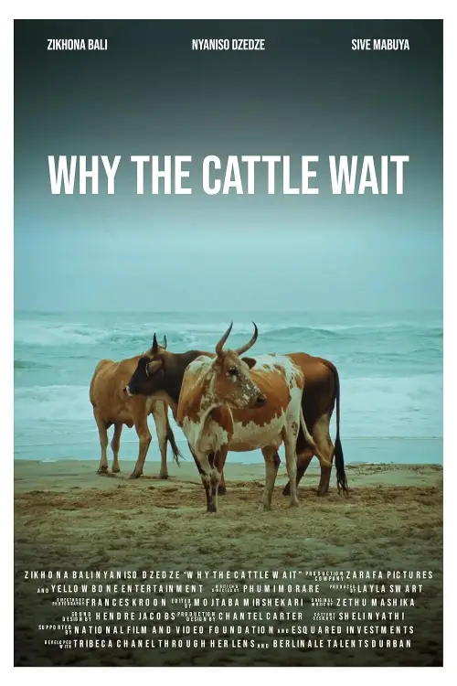 Постер до фільму "Why The Cattle Wait"
